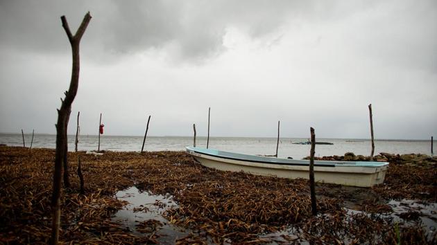 A boat is moored in Puerto Ceiba, Tabasco state, Mexico. After the land was cleared, four threatened or protected species were rescued, including a type of porcupine, a boa constrictor and a rare iguana. Reuters could not establish the fate of the other animals the agency detected at the site. (Alexandre Meneghini / REUTERS) A boat is moored in Puerto Ceiba, Tabasco state, Mexico. After the land was cleared, four threatened or protected species were rescued, including a type of porcupine, a boa constrictor and a rare iguana. Reuters could not establish the fate of the other animals the agency detected at the site. (Alexandre Meneghini / REUTERS)