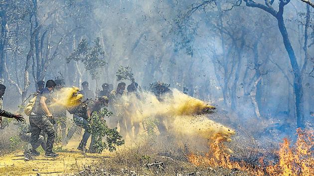 Thousands of hectares of some of the best tiger habitat have been burnt down and, with it, hundreds of birds, smaller mammals and the young of both tigers, leopards and so many other animals have either been displaced or burnt to cinders(PTI)