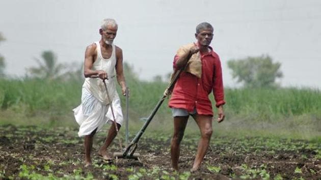 Five states — Telangana, Jharkhand, West Bengal, Andhra Pradesh and Odisha — have announced or are already implementing state-level income support schemes involving direct cash transfers to farmers. (HT File Photo) Five states — Telangana, Jharkhand, West Bengal, Andhra Pradesh and Odisha — have announced or are already implementing state-level income support schemes involving direct cash transfers to farmers. (HT File Photo)