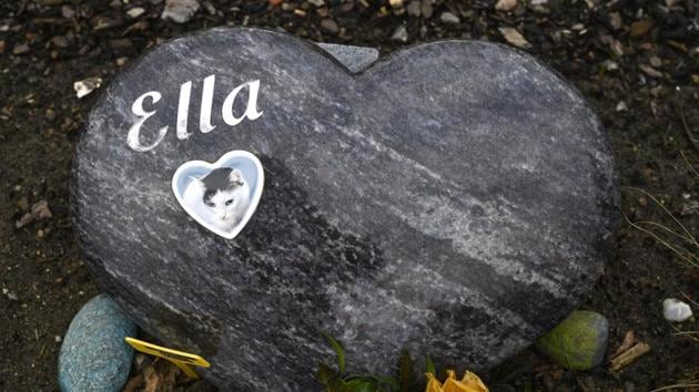 A grave marker for a pet cat in the shape of a heart is seen in the cemetery of the Tierhimmel. Today, 34.3 million people in the country of 80 million own a pet, up 45% from a decade ago, according to a joint study by the Industrial Association of Pet Care Producers (IVH) and the German Pet Trade and Industry Association. (John MacDougall / AFP) A grave marker for a pet cat in the shape of a heart is seen in the cemetery of the Tierhimmel. Today, 34.3 million people in the country of 80 million own a pet, up 45% from a decade ago, according to a joint study by the Industrial Association of Pet Care Producers (IVH) and the German Pet Trade and Industry Association. (John MacDougall / AFP)