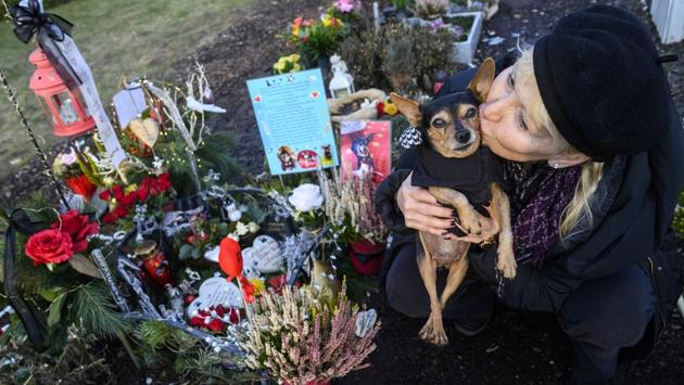 Pet owner Karla Lemke kisses her 15-year-old female miniature Pinscher Scarlet, as she visits the grave of her male miniature Pinscher “Alien”. Lemke was still inconsolable more than a year after losing Alien. “For the last 14 months since he died, I’ve come here everyday, twice a day,” said the 63-year-old, who has turned Alien’s grave into the most decorated and colourful in the cemetery. (John MacDougall / AFP) Pet owner Karla Lemke kisses her 15-year-old female miniature Pinscher Scarlet, as she visits the grave of her male miniature Pinscher “Alien”. Lemke was still inconsolable more than a year after losing Alien. “For the last 14 months since he died, I’ve come here everyday, twice a day,” said the 63-year-old, who has turned Alien’s grave into the most decorated and colourful in the cemetery. (John MacDougall / AFP)