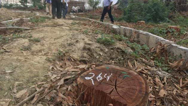 The dimishing green cover in Gurugram has many implications — including increased pollution and lack of protection from heat as well as water scarcity — for the residents.(HT File Photo)