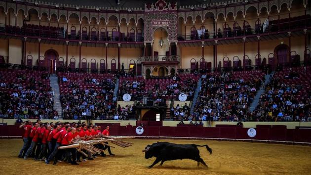 A group of men perform the bullfight of “Capeia Arraiana” during the Bullfighting Day at the Campo Pequeno bullfighting arena in Lisbon, Portugal. (Patricia De Melo Moreira / AFP) A group of men perform the bullfight of “Capeia Arraiana” during the Bullfighting Day at the Campo Pequeno bullfighting arena in Lisbon, Portugal. (Patricia De Melo Moreira / AFP)