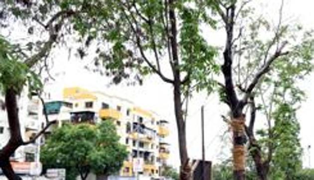 The residents of the of the developing sectors in the city have decided to plant 10,000 trees in the ensuing monsoon season to compensate for the proposed removal of almost 18,000 trees that fall in the alignment of packages one and two of the Dwarka Expressway. (HT PHOTO) (HT Photo) The residents of the of the developing sectors in the city have decided to plant 10,000 trees in the ensuing monsoon season to compensate for the proposed removal of almost 18,000 trees that fall in the alignment of packages one and two of the Dwarka Expressway. (HT PHOTO) (HT Photo)