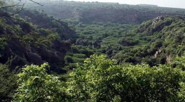 To preserve life in Haryana, re-notify Aravallis as forests (Photo by Manoj Kumar/ Hindustan Times)(HT Photo)