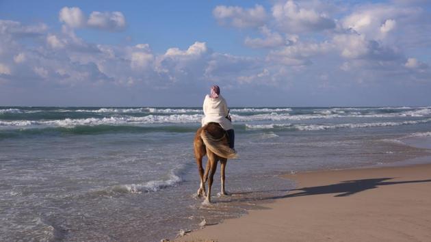 Suad Dawood, 24, rides a horse on a beach in Gaza City. Dawood holds a diploma as a medical secretary, but has failed to secure a job for four years. “There are no jobs in Gaza. Whenever I get fed up, I go with my friends to sit on the beach or visit areas with greenery,” she said. “We are lucky to have the sea. The beach is a place for relief, and for meditation, so we can forget about the wars and poverty,” Abu Taqea said. (Samar Abo Elouf / REUTERS) Suad Dawood, 24, rides a horse on a beach in Gaza City. Dawood holds a diploma as a medical secretary, but has failed to secure a job for four years. “There are no jobs in Gaza. Whenever I get fed up, I go with my friends to sit on the beach or visit areas with greenery,” she said. “We are lucky to have the sea. The beach is a place for relief, and for meditation, so we can forget about the wars and poverty,” Abu Taqea said. (Samar Abo Elouf / REUTERS)