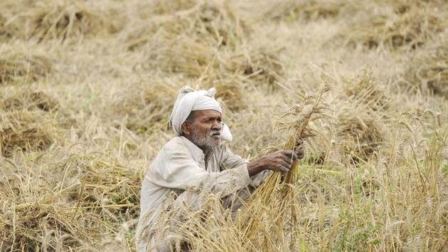 Farm loan waiver would offset the financial losses (including bad loans and NPA) of worth  ₹3,500 crore of the apex bank, cooperative banks and PACS (HT Photo/Representative image)