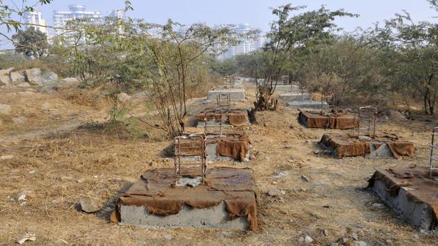 The Haryana government had permitted the felling of over 7,000 trees in the village. (HT File Photo) The Haryana government had permitted the felling of over 7,000 trees in the village. (HT File Photo)