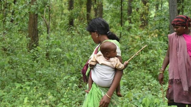 An expert committee report has recommended that the Union environment ministry rework the methodology to determine forest cover by mapping areas under various monocultures plantations.(Mujeeb Faruqui/HT Photo)