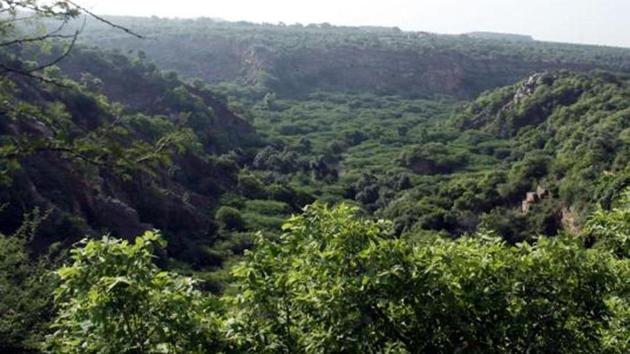 A Haryana government order to consolidate land holdings in Faridabad’s Kot village, around 60 km outside Delhi, to ensure “better cultivation” has raised concerns about privatisation of Aravalli land.(Manoj Kumar/HT File Photo) A Haryana government order to consolidate land holdings in Faridabad’s Kot village, around 60 km outside Delhi, to ensure “better cultivation” has raised concerns about privatisation of Aravalli land.(Manoj Kumar/HT File Photo)