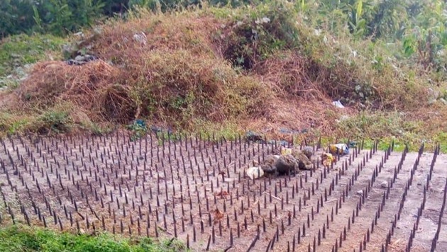 The army has put up beds of iron spikes in the Narengi cantonment in Guwahati to keep out wild elephants from the nearby Amchang Wildlife sanctuary. (HT PHOTO) The army has put up beds of iron spikes in the Narengi cantonment in Guwahati to keep out wild elephants from the nearby Amchang Wildlife sanctuary. (HT PHOTO)