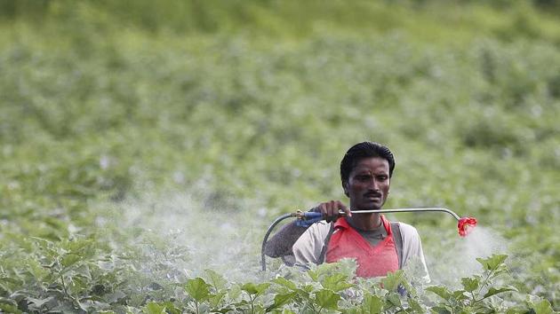 A farmer sprays pesticide in the cotton field at Pandharkawada in Maharashtra.(Raj K Raj/ Hindustan times)