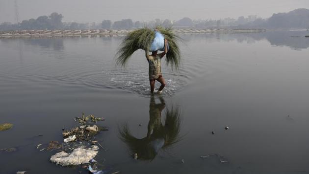 The National Green Tribunal (NGT)-appointed Yamuna pollution monitoring committee directed the north, east and south municipal corporations of Delhi (MCDs) to submit action plans on how they will achieve this. (Biplov Bhuyan/HT Photo) The National Green Tribunal (NGT)-appointed Yamuna pollution monitoring committee directed the north, east and south municipal corporations of Delhi (MCDs) to submit action plans on how they will achieve this. (Biplov Bhuyan/HT Photo)
