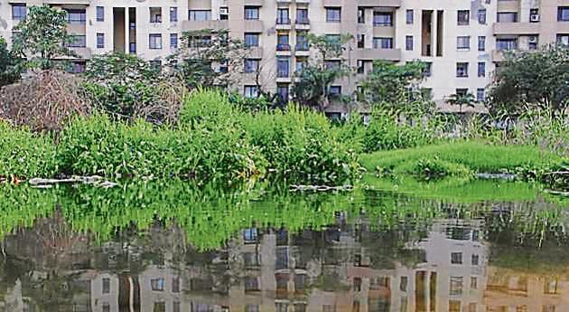 Fresco Apartments disposes of most of its unused water in an open area outside the society compound. (Yogendra Kumar/HT Photo) Fresco Apartments disposes of most of its unused water in an open area outside the society compound. (Yogendra Kumar/HT Photo)