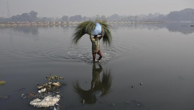 In an affidavit filed before the court, the state of Haryana said that the national capital is “discharging substantial quantity of water to the downstream of Wazirabad causing huge loss of precious water”.(Biplov Bhuyan/HT File Photo)