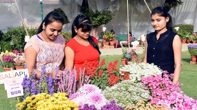 Soon, residents will be expected to inform the Lucknow Municipal Corporation (LMC) and get its permission if they intend to host an outdoor event where a gathering of 100 or more people is likely.(HT Photo)