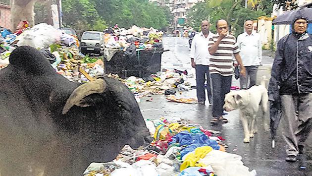 The main complaints PCMC received include mosquito menace, garbage, overflowing dustbins, issues regarding manholes, and water hyacinth.(HT FILE)