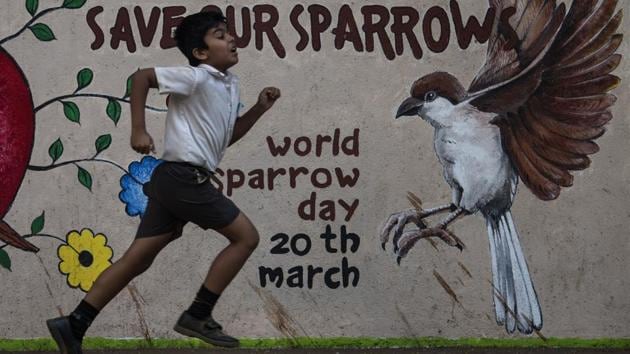 A student runs past a wall art advocating for the protection of sparrows at Bandra in Mumbai, Maharashtra. (Satish Bate / HT Photo) 
