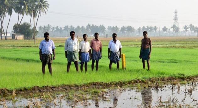 Farmers point to the yellow stone markers in their fields placed by officials who have marked out the highway in Kakkavaku village, Oothakadu, Tiruvallur, Chennai.(Photo by Gayatri Jayaraman / Hindustan Times)