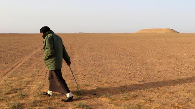 Milad Mohamad, a Truffle hunter, searches for white truffles or ‘Terfas’ in Al-Hamada al-Hamra desert, in Libya’s western Nalut province. Terfas have been consumed since Roman times for their delicate taste as well as their nutritious and medical properties, and are sold to Gulf countries as a luxury food item. (AFP) Milad Mohamad, a Truffle hunter, searches for white truffles or ‘Terfas’ in Al-Hamada al-Hamra desert, in Libya’s western Nalut province. Terfas have been consumed since Roman times for their delicate taste as well as their nutritious and medical properties, and are sold to Gulf countries as a luxury food item. (AFP)