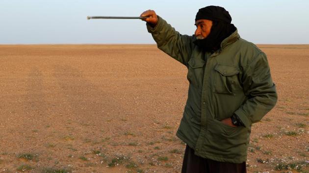 Milad Mohamad points with his stick during a search for white truffles. Wholesale transactions often take place at a tent erected on a road near Zintan. It is there pickers go to sell the truffles. “We endured very cold weather but the merchant is offering us a fraction of the price,” said Khaled Abdelwahed, a picker trying to negotiate a deal for eight kilos of truffles he collected after four nights in the desert. (AFP) Milad Mohamad points with his stick during a search for white truffles. Wholesale transactions often take place at a tent erected on a road near Zintan. It is there pickers go to sell the truffles. “We endured very cold weather but the merchant is offering us a fraction of the price,” said Khaled Abdelwahed, a picker trying to negotiate a deal for eight kilos of truffles he collected after four nights in the desert. (AFP)