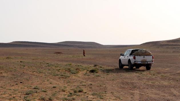 A truffle hunter at work in Al-Hamada al-Hamra desert. Abdallah Miloud, another merchant, said the harvest is sold to middlemen who “sell them to clients abroad”. The Libyan white truffle is “of excellent quality” and “prized in Gulf countries”, he added. There are no official export figures for the truffles but according to Miloud, revenues from sales have “rescued several families” from financial hardship. (AFP) A truffle hunter at work in Al-Hamada al-Hamra desert. Abdallah Miloud, another merchant, said the harvest is sold to middlemen who “sell them to clients abroad”. The Libyan white truffle is “of excellent quality” and “prized in Gulf countries”, he added. There are no official export figures for the truffles but according to Miloud, revenues from sales have “rescued several families” from financial hardship. (AFP)