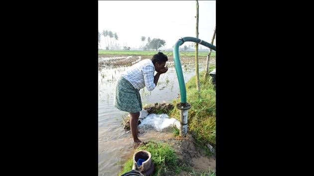 Water in Kakkavaku village in Uuthakottai (the name itself means spring) taluk of Tiruvallur district is sweet and abundant. It contributes to Chennai’s tanked supply in its dry months. Chennai Metro Water Board and private tankers come to buy water here every year from May to June, when the city is at its thirstiest. (Gayatri Jayaraman / HT Photo) Water in Kakkavaku village in Uuthakottai (the name itself means spring) taluk of Tiruvallur district is sweet and abundant. It contributes to Chennai’s tanked supply in its dry months. Chennai Metro Water Board and private tankers come to buy water here every year from May to June, when the city is at its thirstiest. (Gayatri Jayaraman / HT Photo)