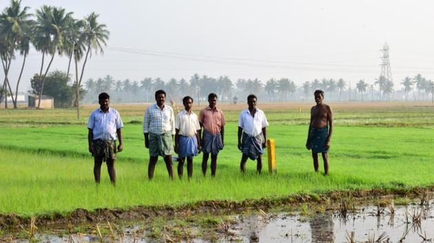 Farmers point to the yellow stone markers in their fields placed by officials who have marked out the highway in Kakkavaku village in Uuthakottai. Chennai runs on a rationed distribution of half its water requirement at 450 mld, and building societies pay in the range of Rs. 2-3 lakh per month towards tanker bills. (Gayatri Jayaraman / HT Photo) Farmers point to the yellow stone markers in their fields placed by officials who have marked out the highway in Kakkavaku village in Uuthakottai. Chennai runs on a rationed distribution of half its water requirement at 450 mld, and building societies pay in the range of Rs. 2-3 lakh per month towards tanker bills. (Gayatri Jayaraman / HT Photo)
