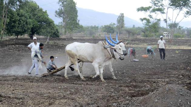 Odisha government’s scheme for assistance to farmers has been stopped by the Election Commission because certain provisions of it are not allowed during the implementation of the model code of conduct. (HT File / Representative Photo) Odisha government’s scheme for assistance to farmers has been stopped by the Election Commission because certain provisions of it are not allowed during the implementation of the model code of conduct. (HT File / Representative Photo)