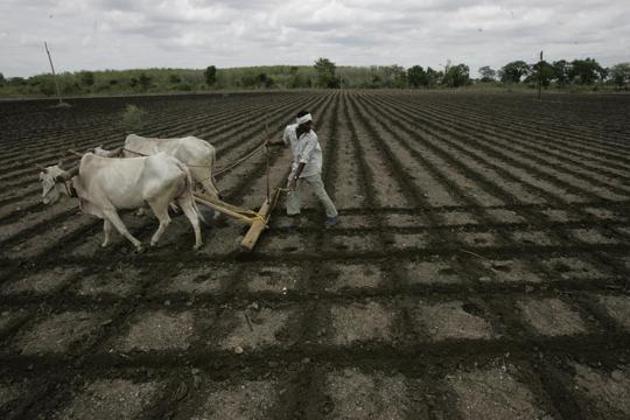 Farm crisis and the long-running drought are likely to be key issues in the seat, which is considered to be a BJP stronghold.(HT Photo/Representative Image)