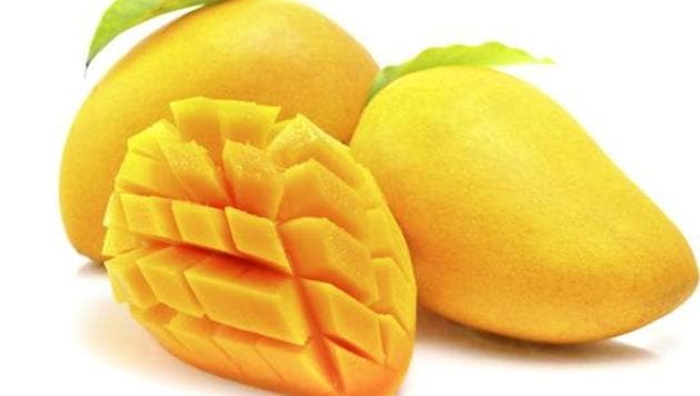 The production of mango this year, is estimated to be less than 70 per cent in Maharashtra. (Getty Images/iStockphoto) The production of mango this year, is estimated to be less than 70 per cent in Maharashtra. (Getty Images/iStockphoto)