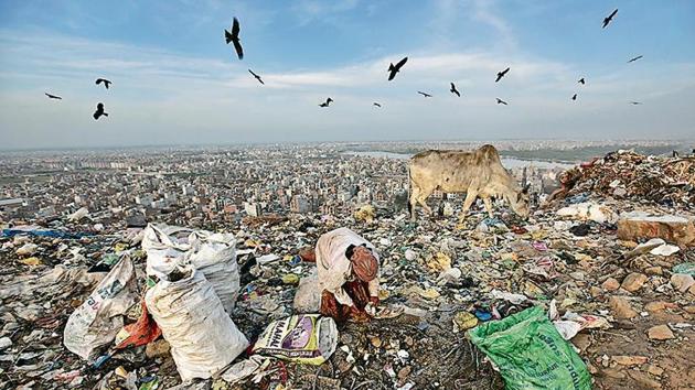 A rag picker collects usable items from a pile of waste at the Bhalswa landfill(Burhaan Kinu/HT Photo)