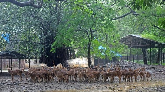 A view of the Byculla Zoo, Mumbai.(Pratik Chorge/HT Photo)