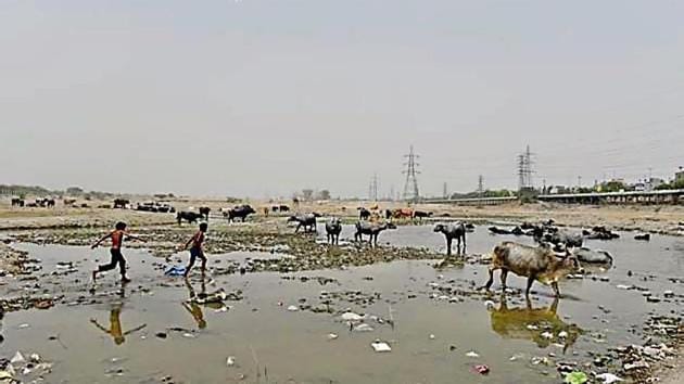 Ghonda Gujran waste plant will poison Yamuna: Experts(HT File)