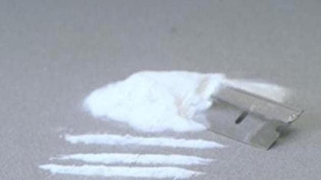 On March 21, Ukraine’s SBU security service seized cocaine worth about $51 million in a South American cargo ship that docked in the Black Sea port of Odessa. (Representative Image) On March 21, Ukraine’s SBU security service seized cocaine worth about $51 million in a South American cargo ship that docked in the Black Sea port of Odessa. (Representative Image)