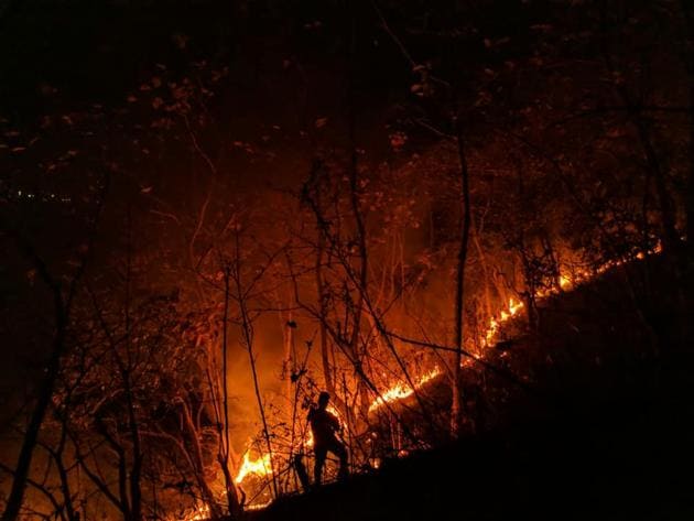 22 hectares of protected forest was charred in fires at six areas inside the Sanjay Gandhi National Park (SGNP) on March 14.(HT file photo)