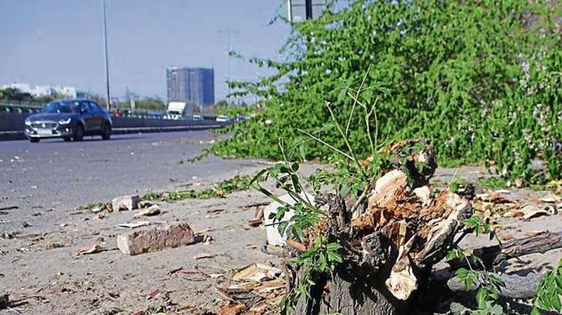 Tree felling to widen 11 entry and exit points along Delhi-Gurgaon Expressway left environmentalists and traffic experts in the city baffled.(Yogendra Kumar/HT PHOTO) Tree felling to widen 11 entry and exit points along Delhi-Gurgaon Expressway left environmentalists and traffic experts in the city baffled.(Yogendra Kumar/HT PHOTO)