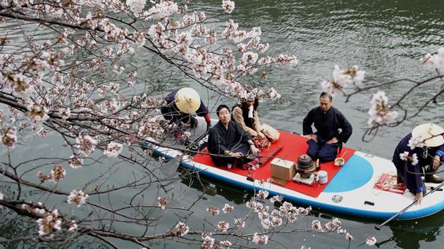 A couple on a boat admires cheery blossoms as they enjoy a tea ceremony in a river in Yokohama, near Tokyo. People all over the country were out to enjoy cherry blossoms this weekend as the country’s iconic flower neared or entered full bloom. (Shuji Kajiyama / AP) A couple on a boat admires cheery blossoms as they enjoy a tea ceremony in a river in Yokohama, near Tokyo. People all over the country were out to enjoy cherry blossoms this weekend as the country’s iconic flower neared or entered full bloom. (Shuji Kajiyama / AP)