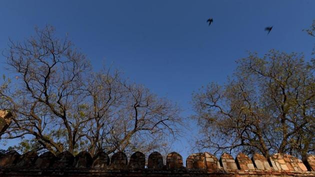 “Trees such as the semal and kachnar have long started flowering, while others such as the pilkhan have started shedding their leaves. The pilkhan is now growing new leaves, with colours changing from dusty purple to red, from bronze to pale green. The dhak will also start flowering very soon,” Pradip Krishen, author and conservationist, said. (Amal KS / HT Photo) “Trees such as the semal and kachnar have long started flowering, while others such as the pilkhan have started shedding their leaves. The pilkhan is now growing new leaves, with colours changing from dusty purple to red, from bronze to pale green. The dhak will also start flowering very soon,” Pradip Krishen, author and conservationist, said. (Amal KS / HT Photo)