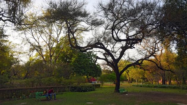 “The emergence of new leaves and blooming of flowers in trees like dhak, pilkhan, kusum Carribbean trumpet tree and millettia have been slightly delayed. In some trees, the flowers could not bloom fully because the temperature shot up suddenly over the past few days,” said Padmavati Dwivedi, an activist who conducted Delhi’s first tree census in a south Delhi neighbourhood. (Amal KS / HT Photo) “The emergence of new leaves and blooming of flowers in trees like dhak, pilkhan, kusum Carribbean trumpet tree and millettia have been slightly delayed. In some trees, the flowers could not bloom fully because the temperature shot up suddenly over the past few days,” said Padmavati Dwivedi, an activist who conducted Delhi’s first tree census in a south Delhi neighbourhood. (Amal KS / HT Photo)