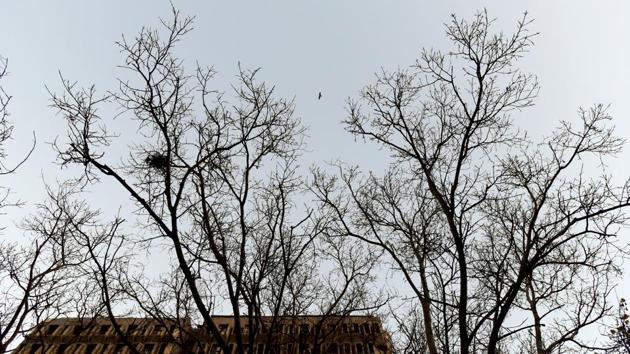 “The process of shedding of leaves should have been over by now. But this year, we can see the roads are still littered with leaves. Temperature and humidity play a major role in the shedding of leaves,” said Prabhakar Rao, a member of Kalpavriksha Environment Action Group, and an expert on urban forests. (Amal KS / HT Photo) “The process of shedding of leaves should have been over by now. But this year, we can see the roads are still littered with leaves. Temperature and humidity play a major role in the shedding of leaves,” said Prabhakar Rao, a member of Kalpavriksha Environment Action Group, and an expert on urban forests. (Amal KS / HT Photo)