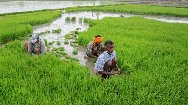 Decades of intensive agriculture has added to water stress and declining soil health(PTI)