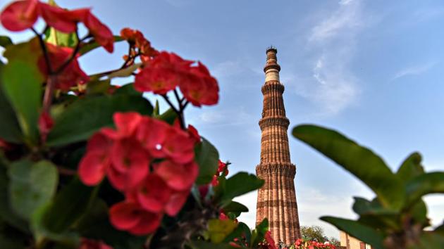 Geranium flowers at Qutub Minar. (Sarang Gupta/Hindustan Times)