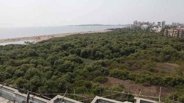 Of the 2,370 trees likely to be affected, 804 could be cut, the remaining 1,566 would be transplanted. (HT File) Of the 2,370 trees likely to be affected, 804 could be cut, the remaining 1,566 would be transplanted. (HT File)