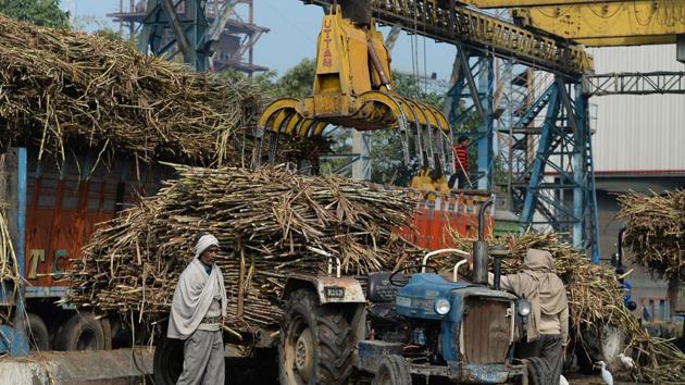 Sugarcane is unloaded at the Triveni sugar refining factory in Sabitgarh village, Bulandshahr district. One of Modi’s economic successes over the past five years is taming inflation that has long bedevilled India’s economy. In the case of sugar, this has been achieved by keeping a lid on the price at which sugar mills -- which process sugarcane into the white stuff -- can sell their produce. (Sajjad Hussain / AFP) Sugarcane is unloaded at the Triveni sugar refining factory in Sabitgarh village, Bulandshahr district. One of Modi’s economic successes over the past five years is taming inflation that has long bedevilled India’s economy. In the case of sugar, this has been achieved by keeping a lid on the price at which sugar mills -- which process sugarcane into the white stuff -- can sell their produce. (Sajjad Hussain / AFP)