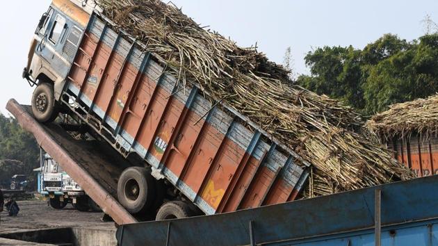 A truck unloads sugarcane at the Triveni sugar refining factory. But this set price -- despite an increase in February -- is so low that many mills are losing money. The amount they can afford to pay growers is paltry, if they can pay at all, leaving farmers high and dry. (Sajjad Hussain / AFP) A truck unloads sugarcane at the Triveni sugar refining factory. But this set price -- despite an increase in February -- is so low that many mills are losing money. The amount they can afford to pay growers is paltry, if they can pay at all, leaving farmers high and dry. (Sajjad Hussain / AFP)
