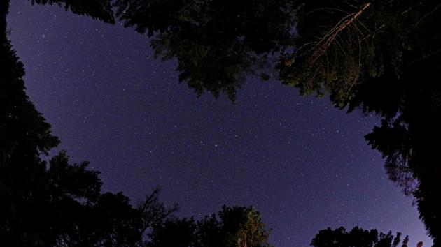 A view from a Siberian Taiga forest shows stars in the night sky outside Krasnoyarsk, Russia. (Ilya Naymushin / REUTERS) A view from a Siberian Taiga forest shows stars in the night sky outside Krasnoyarsk, Russia. (Ilya Naymushin / REUTERS)