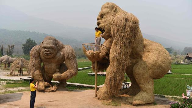 A student has her picture taken with a King Kong sculpture made out of straw in the northern Thai province of Chiang Mai. (Lillian Suwanrumpha / AFP) A student has her picture taken with a King Kong sculpture made out of straw in the northern Thai province of Chiang Mai. (Lillian Suwanrumpha / AFP)