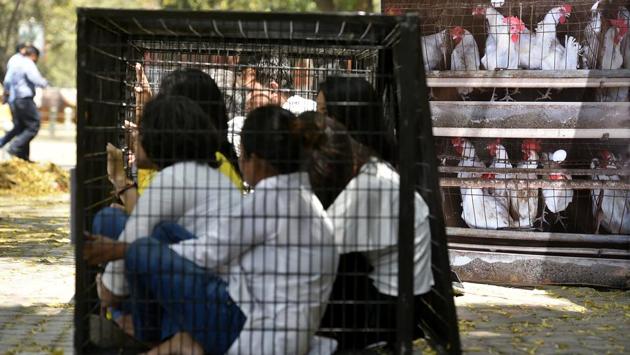 Animal rights activists and campaigners protest demanding the implementation of the Law Commission of India’s rules for hens laying eggs at Jantar Mantar in New Delhi. (Biplov Bhuyan / HT Photo) Animal rights activists and campaigners protest demanding the implementation of the Law Commission of India’s rules for hens laying eggs at Jantar Mantar in New Delhi. (Biplov Bhuyan / HT Photo)