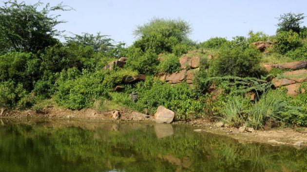 The report shows that groundwater table in Gurugram district has fallen by 2.5 metres from 2014 to 2018. Experts said that though water was required for development, Gurugram must caution against concretisation of effective recharge zones, such as Badshahpur drain, Ghata jheel bed .(HT File Photo)